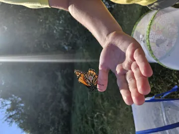 Amachi Butterfly Education 10/11/2025