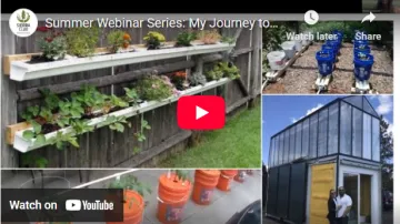 backyard gardening