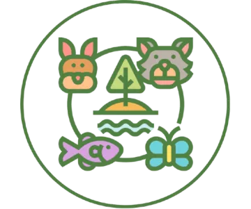 Ecosystem