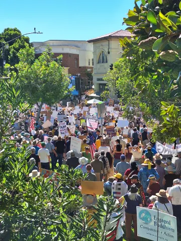 Photo of crowd in San Luis Obispo at No Kings rally on October 18 2025