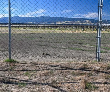 Panoche Valley Solar Farm