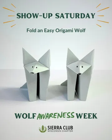 Origami Wolves under a banner that says "Show-Up Saturday"
