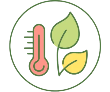 Temperature Regulation
