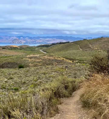 View to the coast from Valencia Peak in Montana de Oro State Park