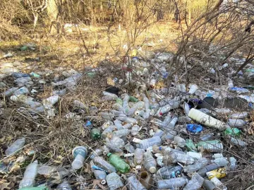 image of bottle and cans littering a forest