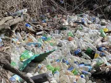 image of plastic bottle and can litter in the environment 
