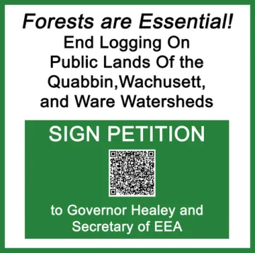 Forests Are Essential!