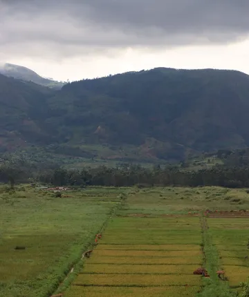 Green mountains rise above fields of agriculture.