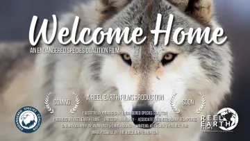 Picture of a wolf's face with the words Welcome Home across the top