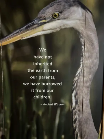 Washington Estuarium, NC
