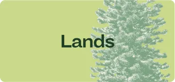 Green button that says "Lands"