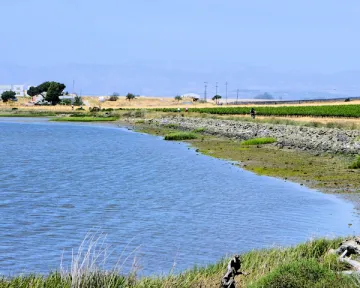 AC wetlands next to Green Island 