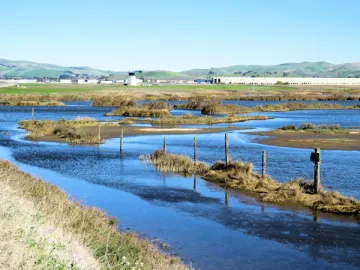Wetlands next to napa airport
