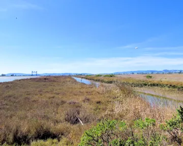 AC wetlands near Green Island