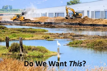 wetlands devestation