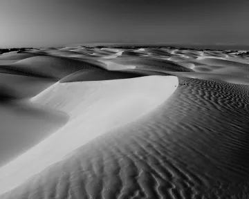 Black and white photo of Oceano Dunes