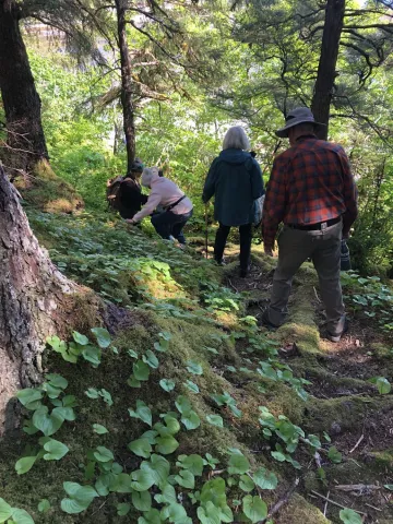 Outings with Woods & Wetlands