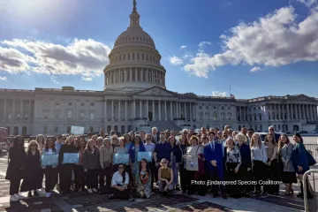 The 50 person lobbying team behind the Capital Building