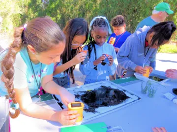 students using microscopes