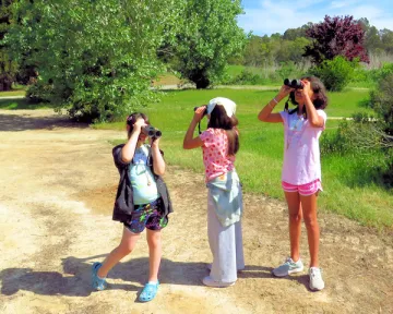 students using binoculars