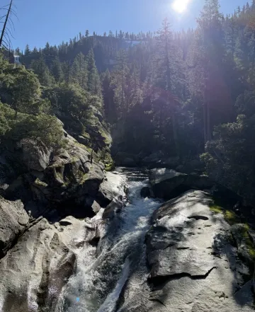 Photo of granite rocks with a forest background and sunbeam