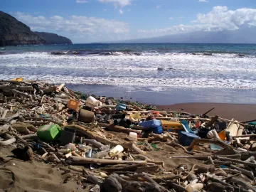 Marine debris