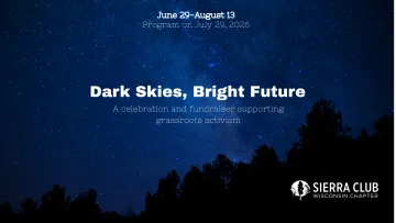 Dark Skies, Bright Future Logo