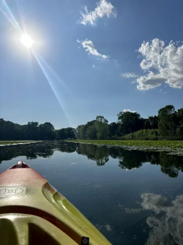Photo off the front of a kayak, of calm water with lily pads under a sunny summer sky. Photo credit: Pvtkach