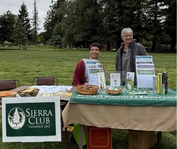 Mountain View tabling