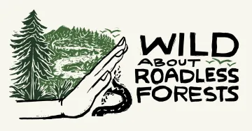 illustration of forest with a hand blocking a road from entering it. Text to the right says wild about roadless forests
