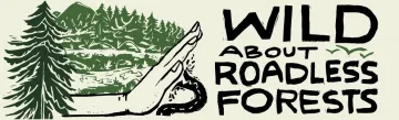 Drawing of a hand stopping a road from going through a forest with script that reads "Wild about roadless forests"
