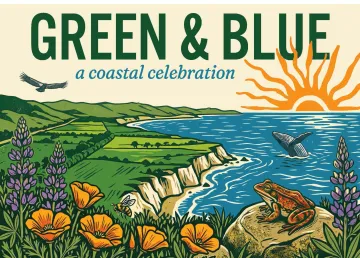Green & Blue