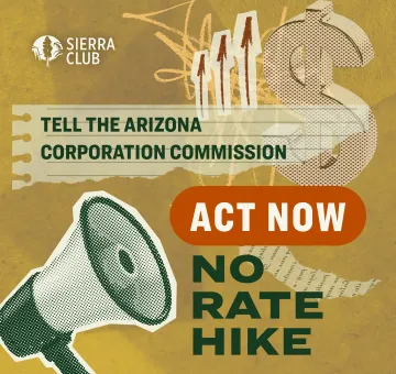a flyer with a megaphone and money symbol and text that reads "Tell the Arizona Corporation Commission - ACT NOW NO RATE HIKE" 