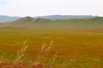 Carrizo Plain landscape