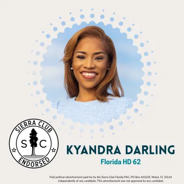 Kyandra Darling HD 62