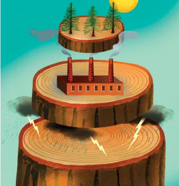 Three slices of a tree, one with trees, one with smokestacks (pollution), and one with lightning and smoke
