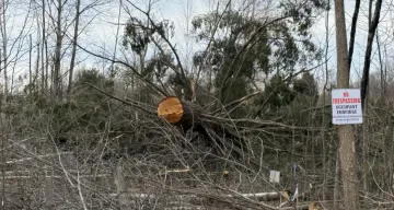Cut tree lays on the ground surrounded by branches. Posted sign reads “No Trespassing: Occupant Enbridge”
