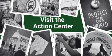 Long action center
