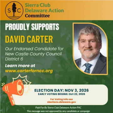 Vote David Carter for New Castle County Council District 6 on Election Day, November 3rd