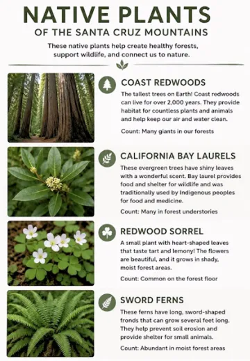 List of native plants of Santa Cruz Mountains