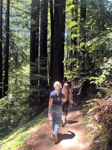 Students hiking in the redwoods