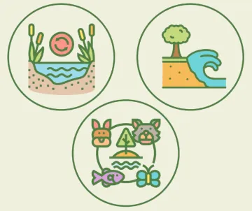 How and when we adapt to sea level rise matters