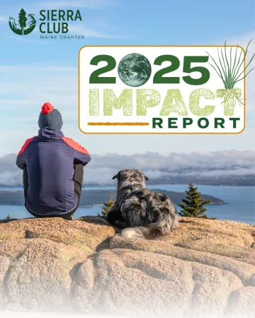 2025 impact report