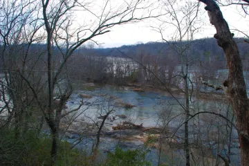 ivy bluff area of yadkin river