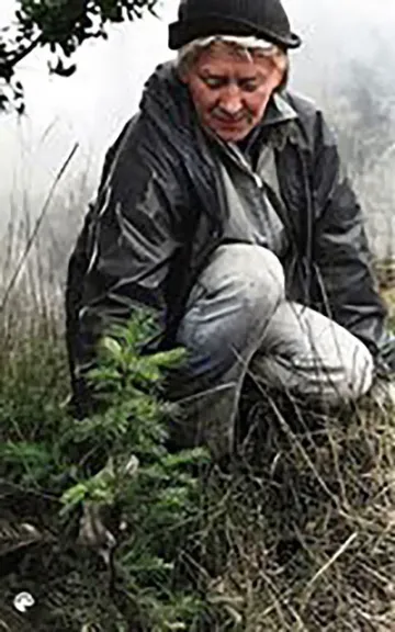 Sierra Club leader Lucille Vinyard with a small redwood tree.