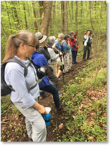 image of people hiking on a strail