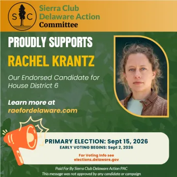 Vote Rachel Krantz for House District 6 on the September 15th Primary Election