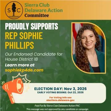 Vote Sophie Phillips for House District 18 on Election Day, November 3rd