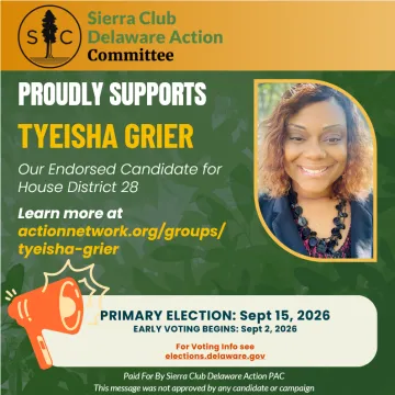 Vote Tyeisha Grier for House District 28 in the Primary Election, September 15th