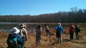 image of people staring at a lake.